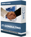 Image of WEBGIO Business Consulting Service